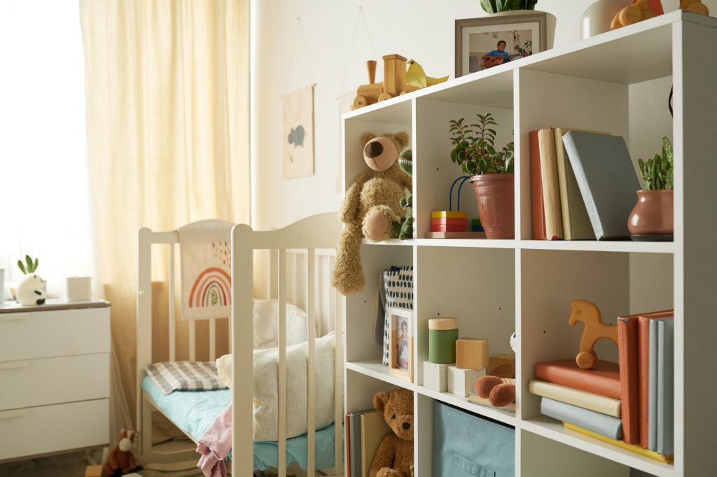 Neatly Organized Playroom with Bookshelves and Toys